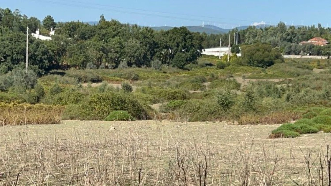 Terreno para Venda em Pedrógão Grande Foto 22
