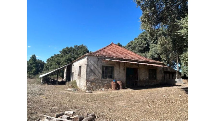 Terreno para Venda em Pedrógão Grande