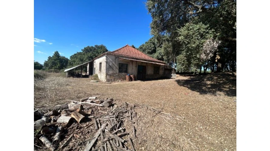 Terreno para Venda em Pedrógão Grande Foto 7