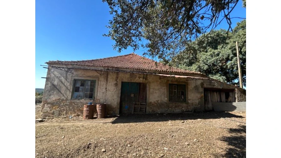 Terreno para Venda em Pedrógão Grande Foto 6
