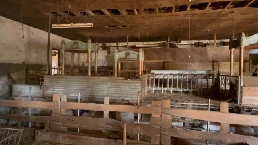 Terreno para Venda em Pedrógão Grande Foto 11