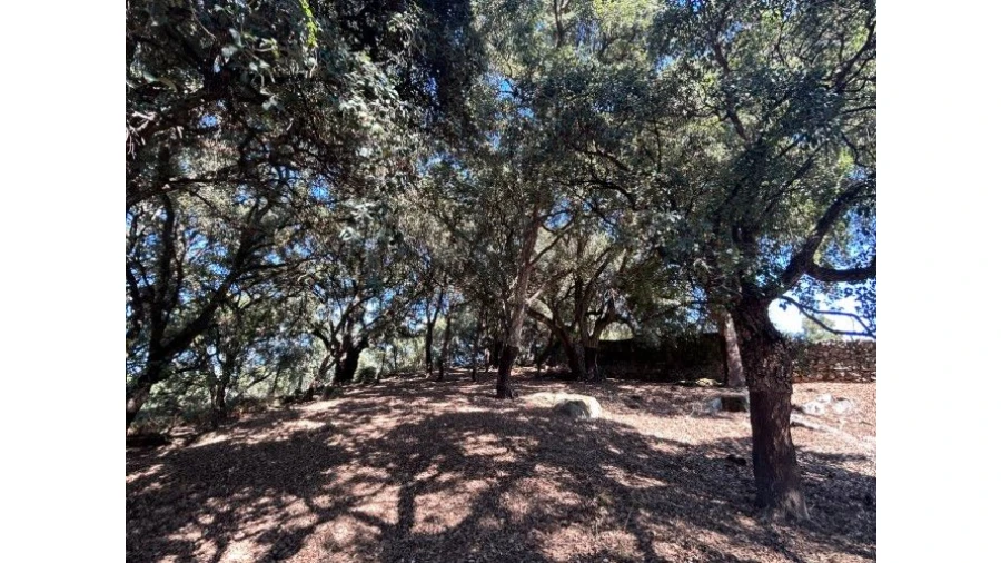 Terreno para Venda em Pedrógão Grande Foto 15