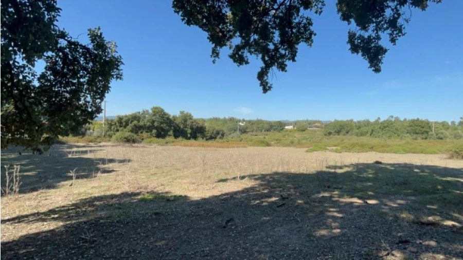 Terreno para Venda em Pedrógão Grande Foto 17