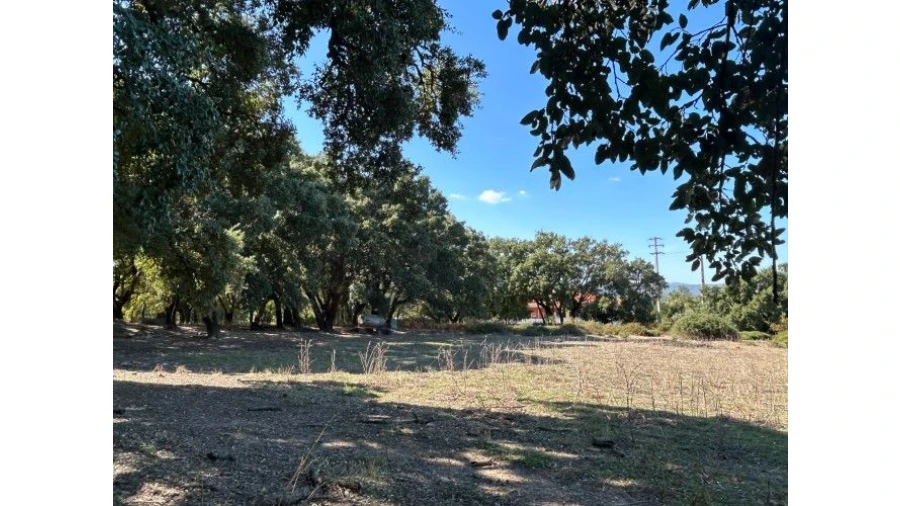 Terreno para Venda em Pedrógão Grande Foto 20