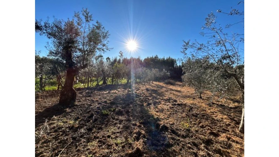 Moradia T5 para Venda em Pedrógão Grande Foto 24