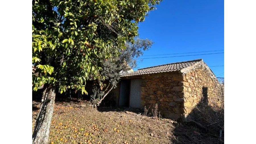 Moradia T5 para Venda em Pedrógão Grande Foto 26