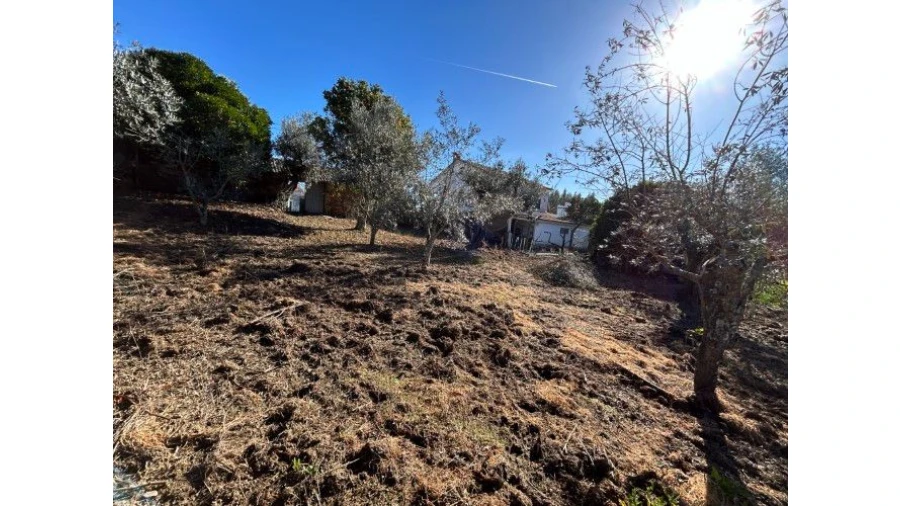 Moradia T5 para Venda em Pedrógão Grande Foto 21