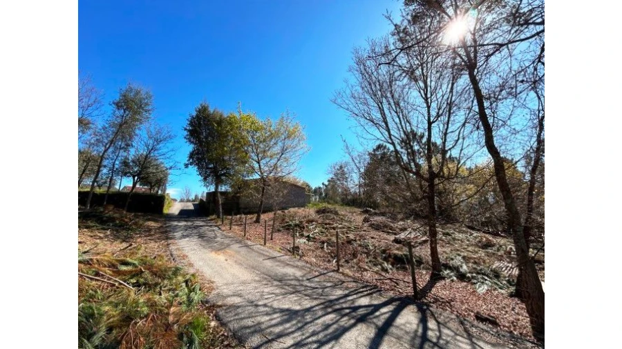 Terreno Misto para Venda em Vale do Barco Foto 9