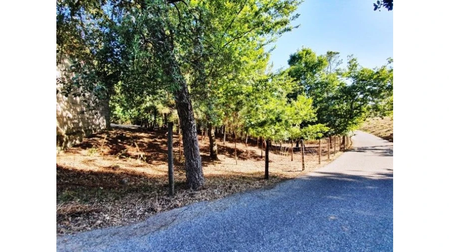 Terreno Misto para Venda em Vale do Barco Foto 12