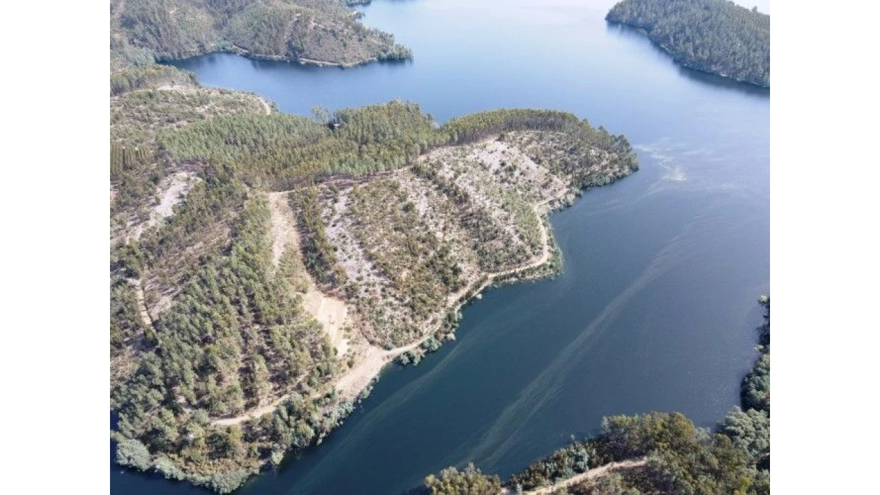 Terreno para Venda em Lomba Foto 12