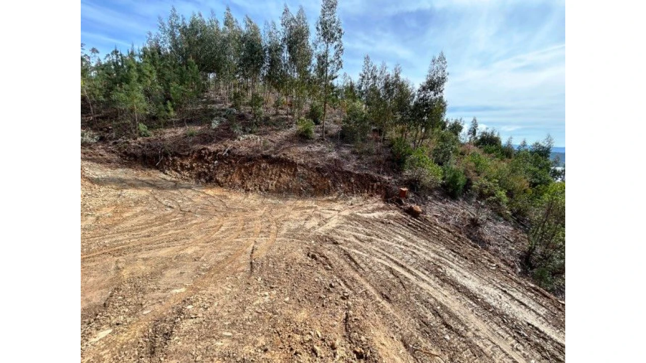 Terreno para Venda em Lomba Foto 7