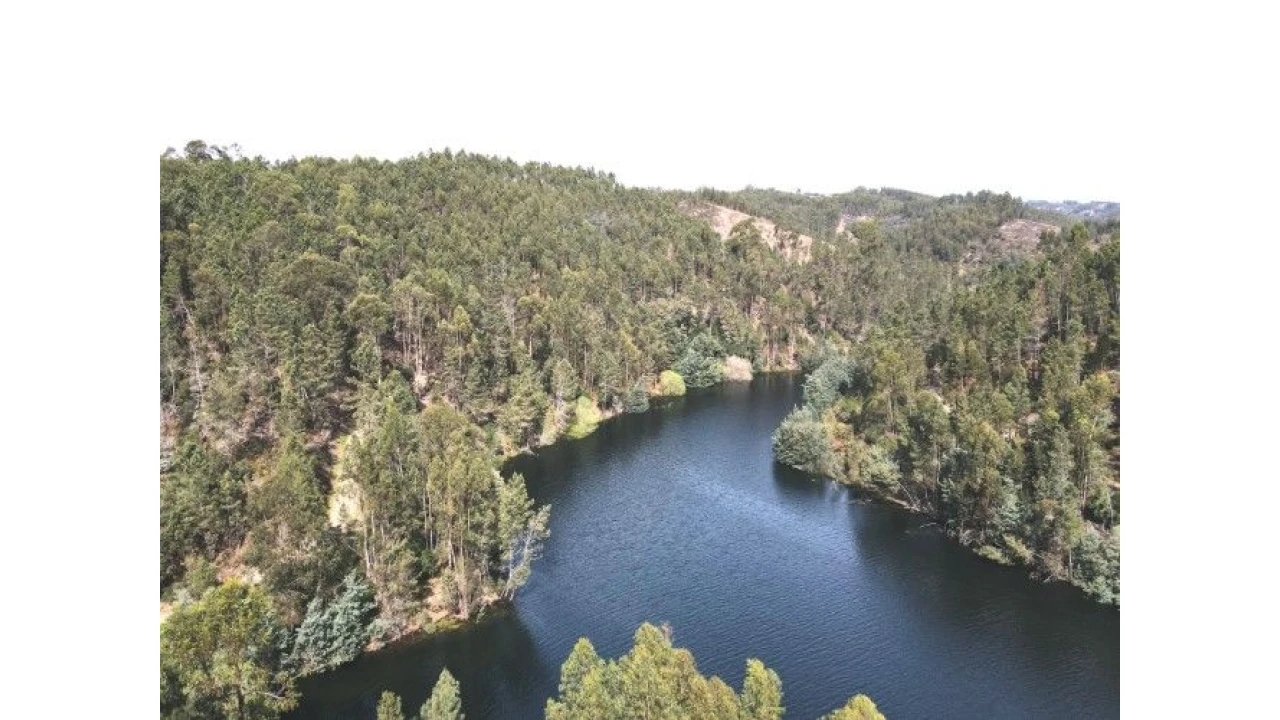 Terreno para Venda em Lomba Foto 11