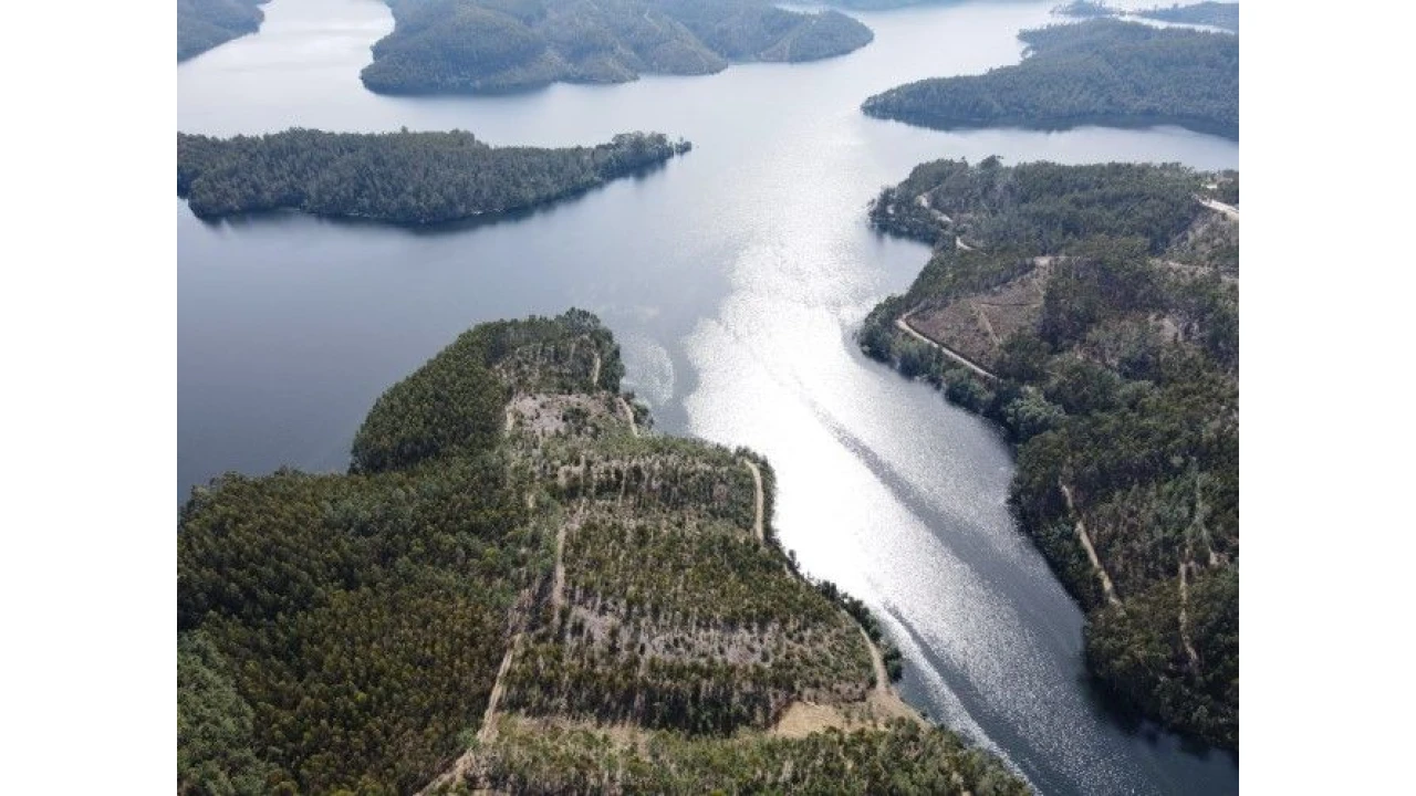 Terreno para Venda em Lomba Foto 10