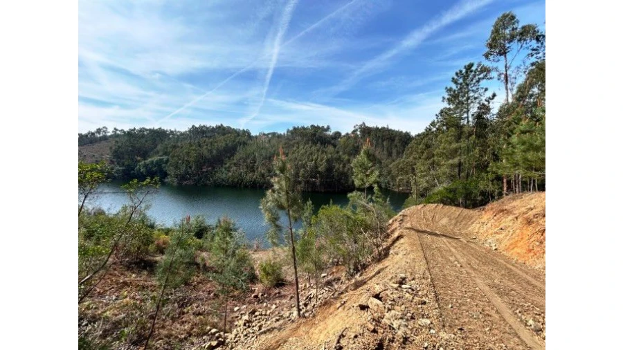 Terreno para Venda em Lomba Foto 8