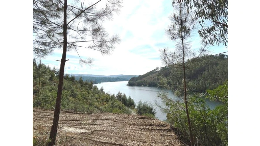 Terreno para Venda em Lomba Foto 5