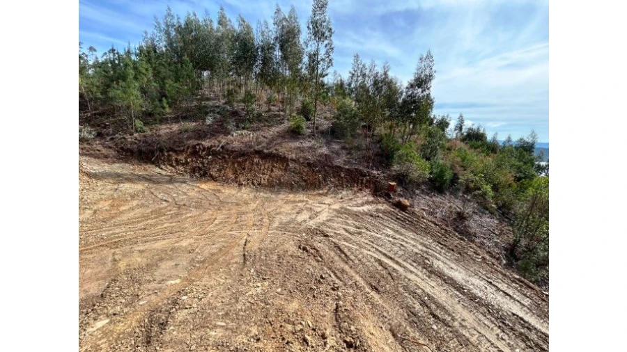 Terreno para Venda em Lomba Foto 7