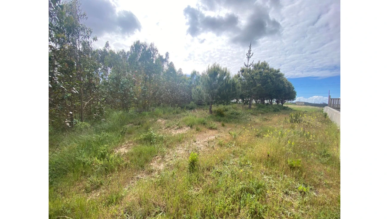 Terreno para Venda em Salir de Matos Foto 2