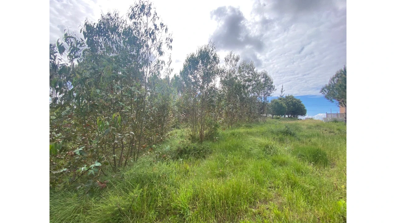 Terreno para Venda em Salir de Matos Foto 4