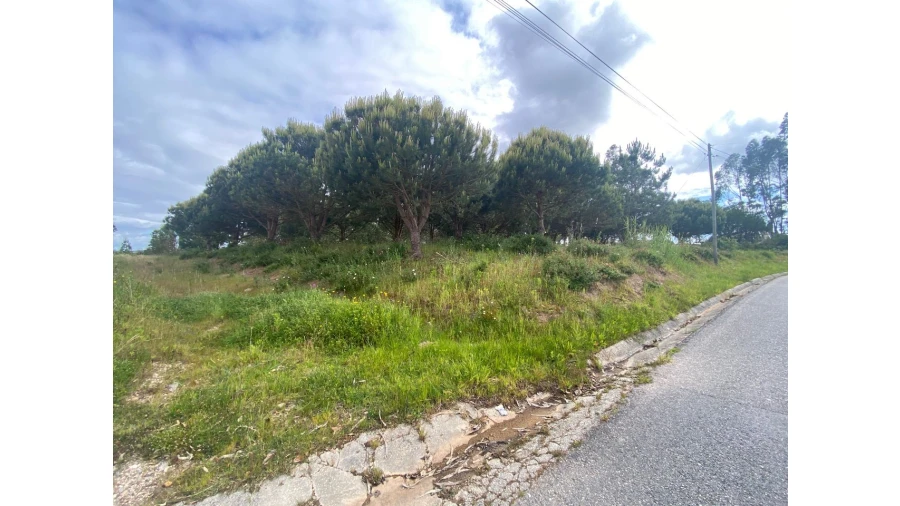 Terreno para Venda em Salir de Matos Foto 1