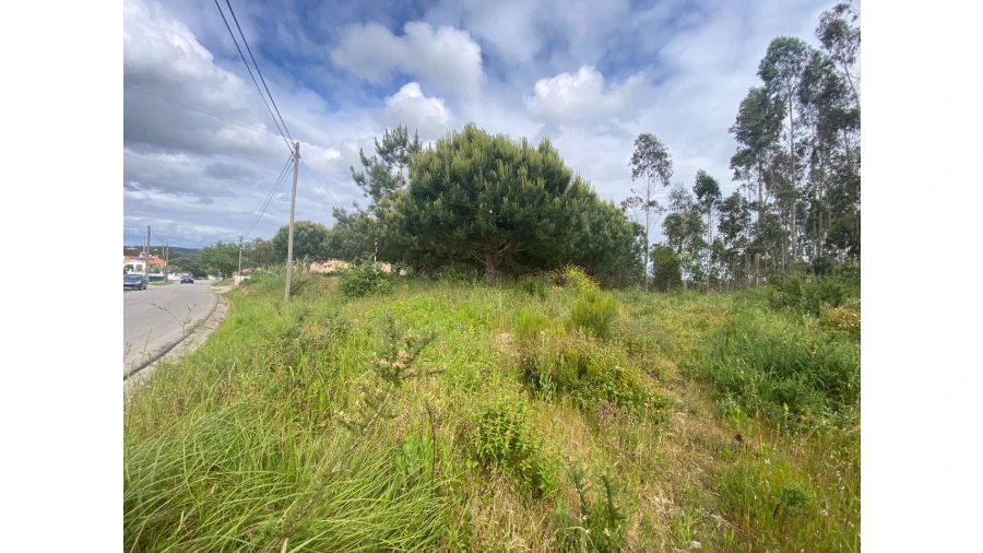 Terreno para Venda em Salir de Matos Foto 5