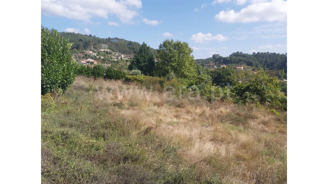 Terreno para Venda em Frades Foto 2