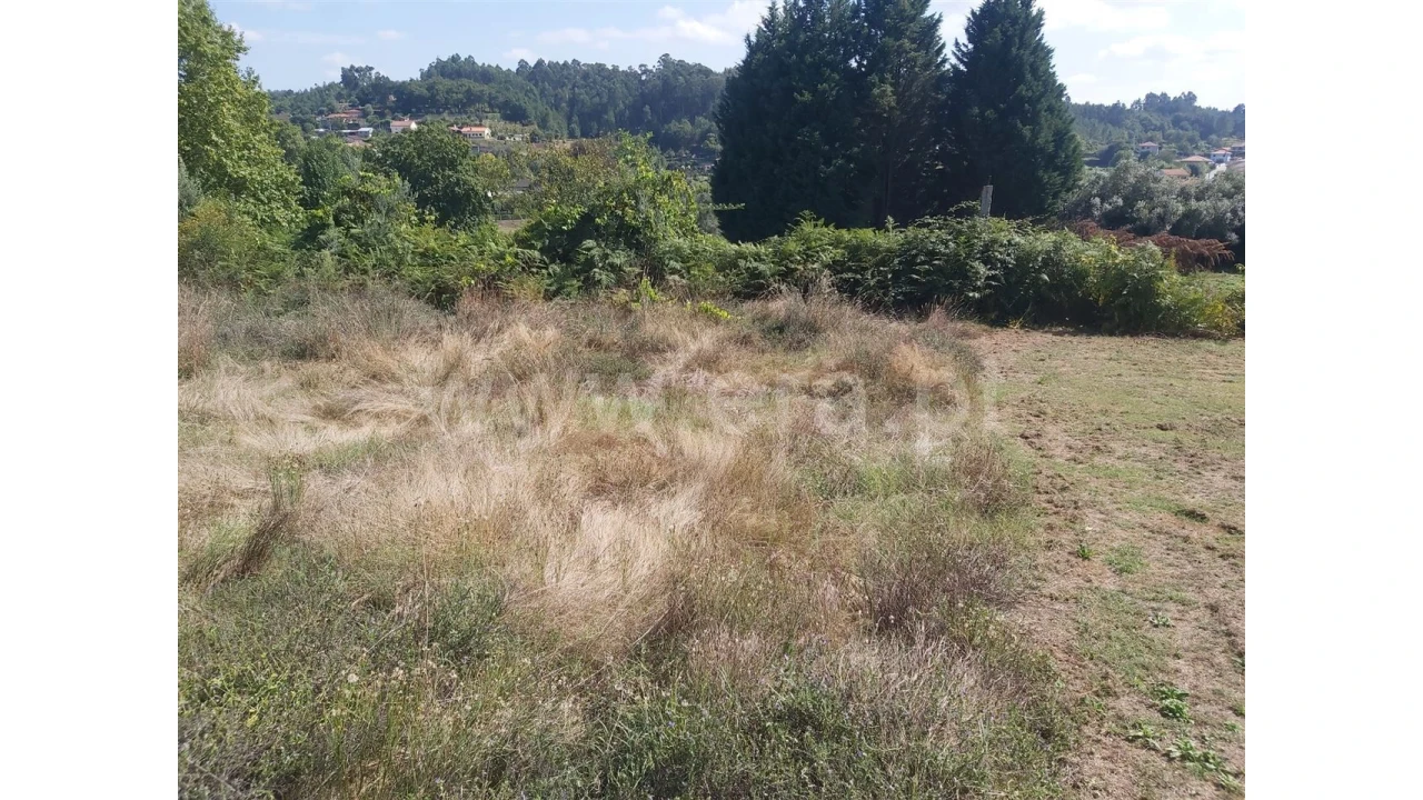 Terreno para Venda em Frades Foto 4