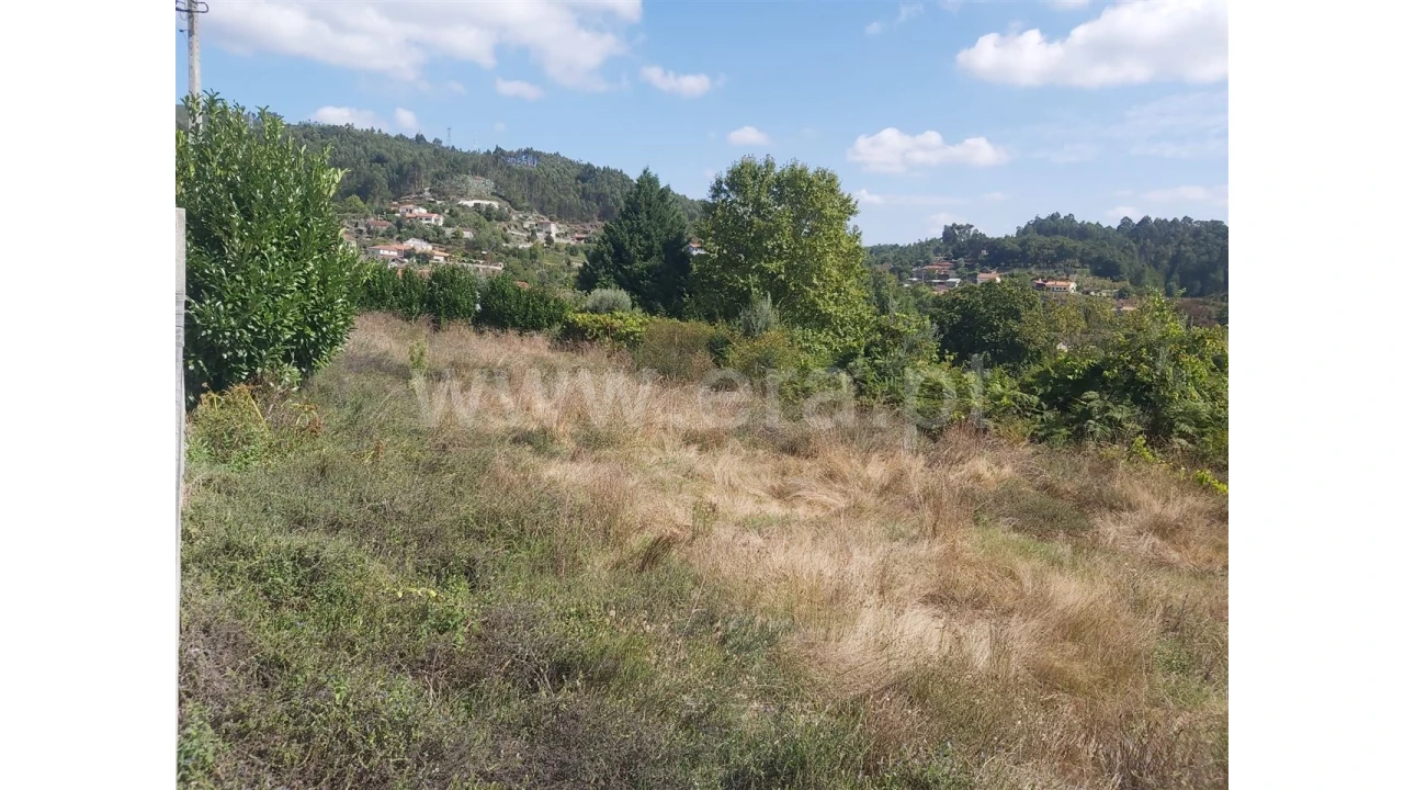 Terreno para Venda em Frades Foto 5