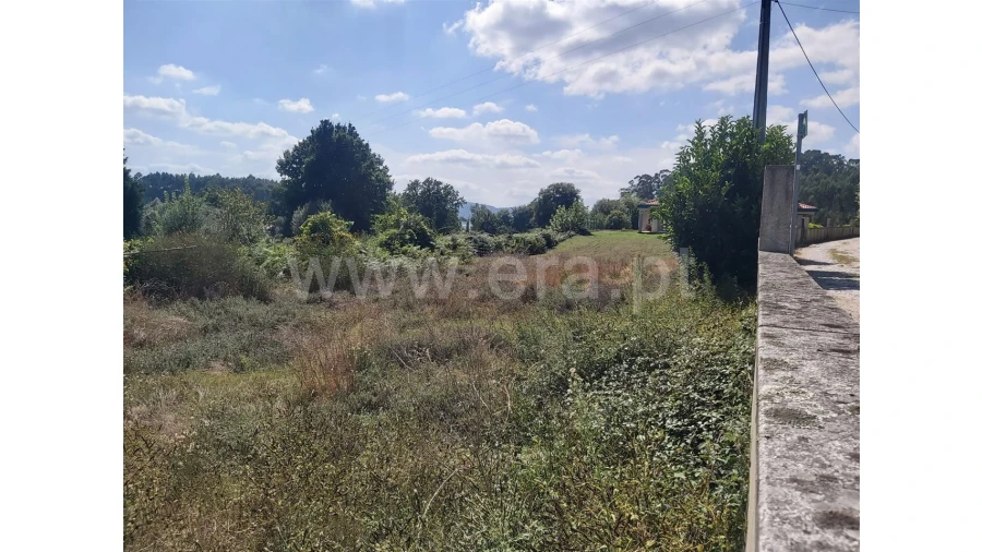 Terreno para Venda em Frades Foto 6