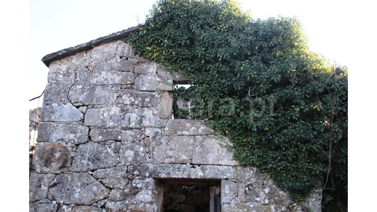 Quinta para Venda em Lugar de Vila, Ruivães Foto 8