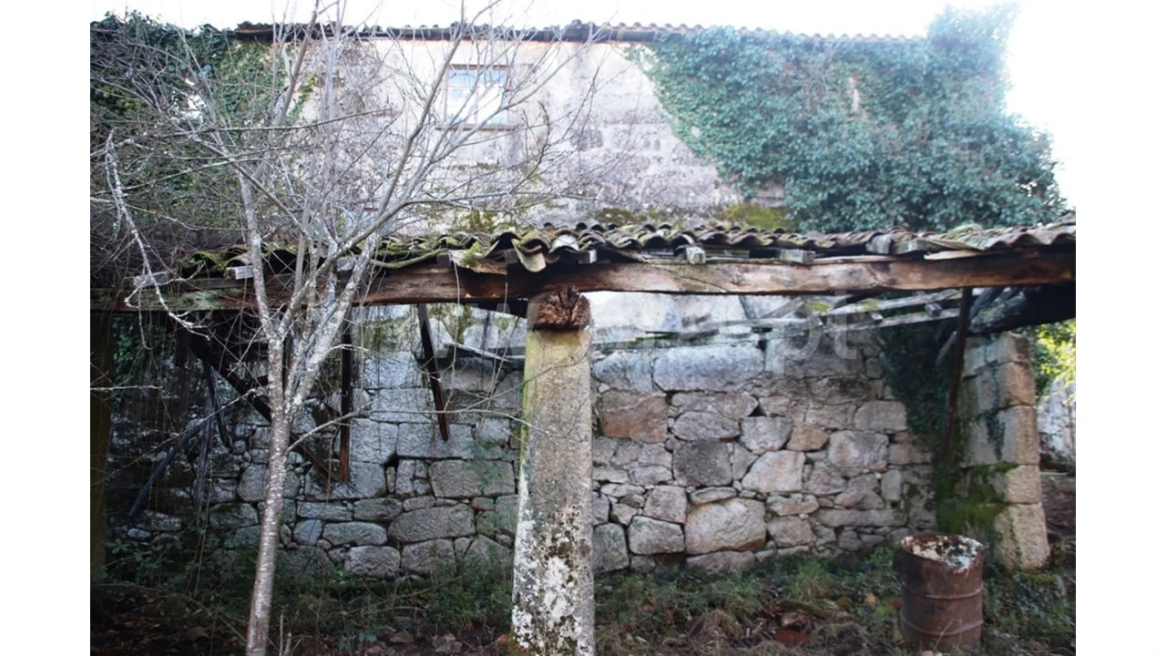 Quinta para Venda em Lugar de Vila, Ruivães Foto 10