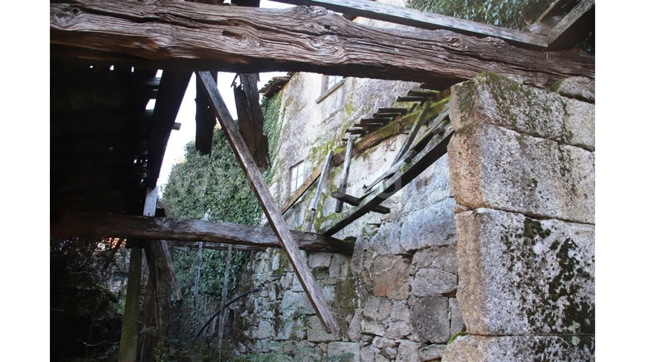 Quinta para Venda em Lugar de Vila, Ruivães Foto 11