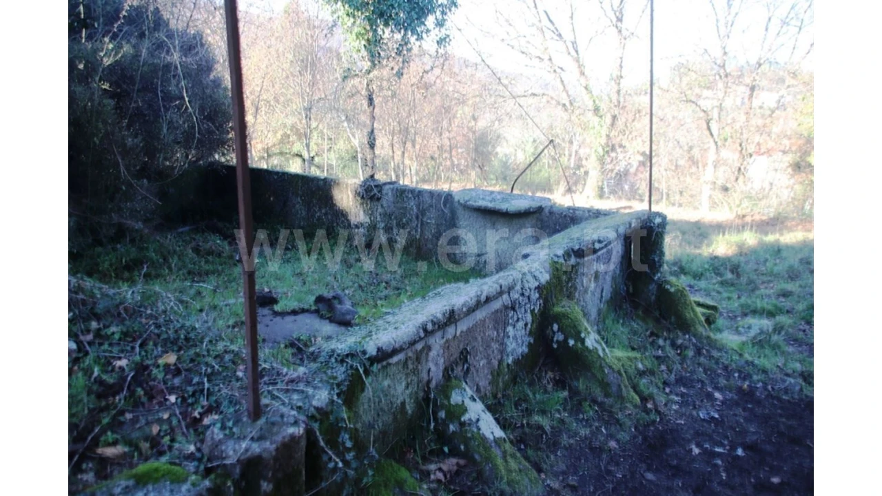 Quinta para Venda em Lugar de Vila, Ruivães Foto 14