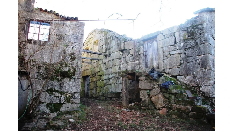 Quinta para Venda em Lugar de Vila, Ruivães Foto 4