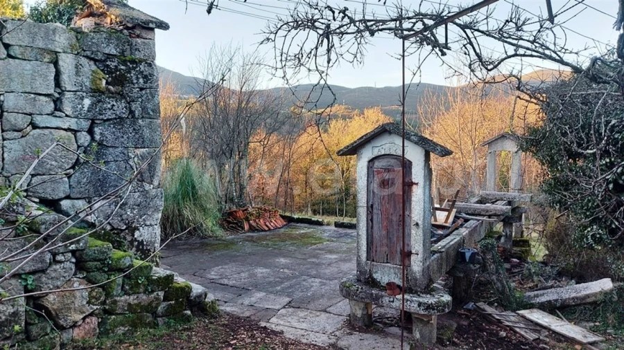 Quinta para Venda em Lugar de Vila, Ruivães Foto 15