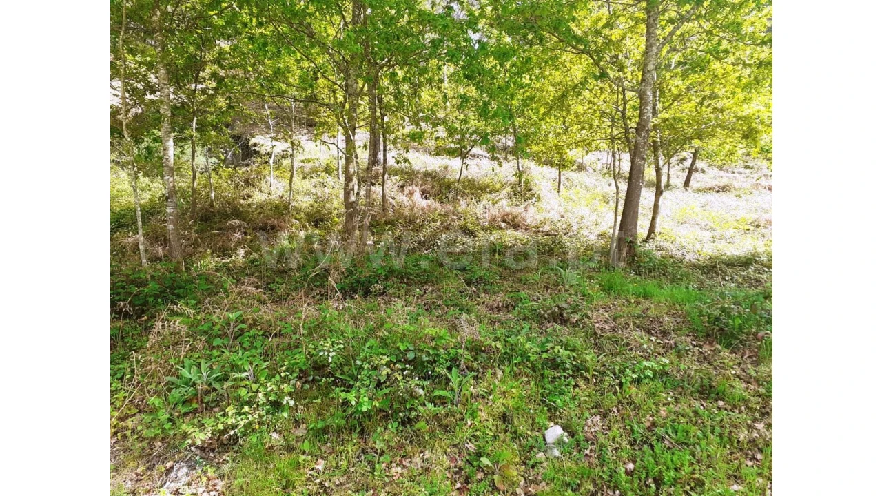 Terreno para Venda em Eira Vedra Foto 3