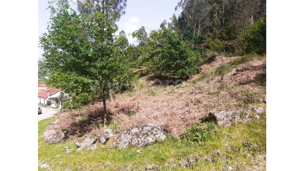 Terreno para Venda em Eira Vedra Foto 7
