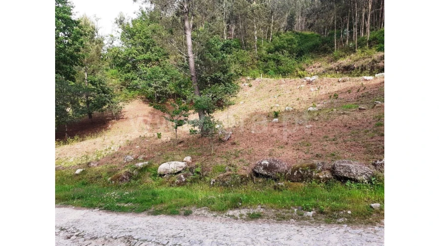 Terreno para Venda em Eira Vedra Foto 4