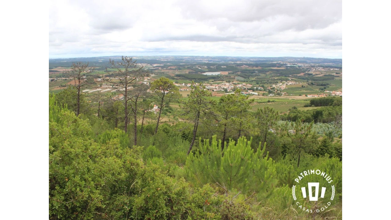 Terreno para Venda em Pragança Foto 3