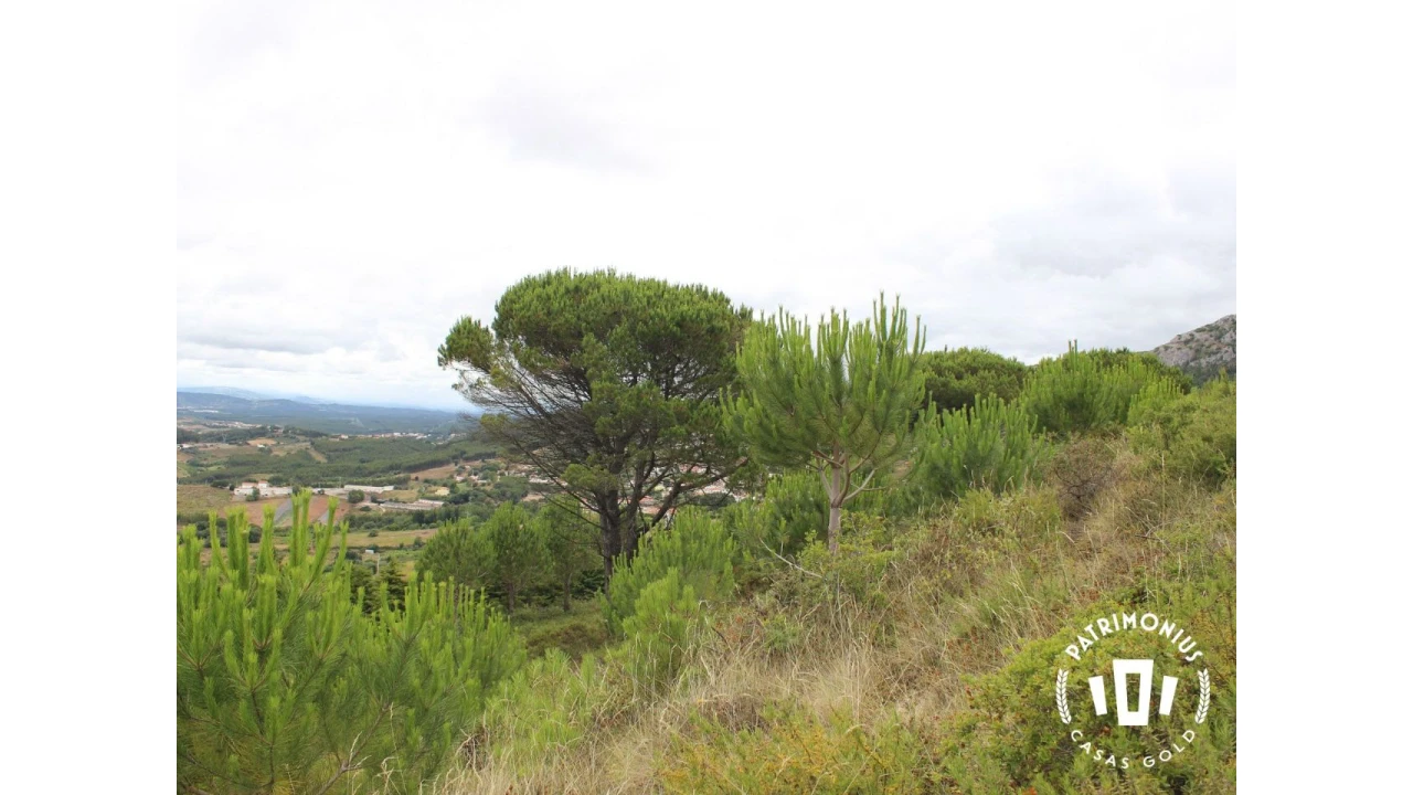 Terreno para Venda em Pragança Foto 4