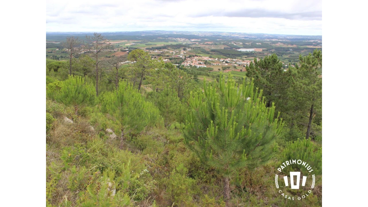 Terreno para Venda em Pragança Foto 9