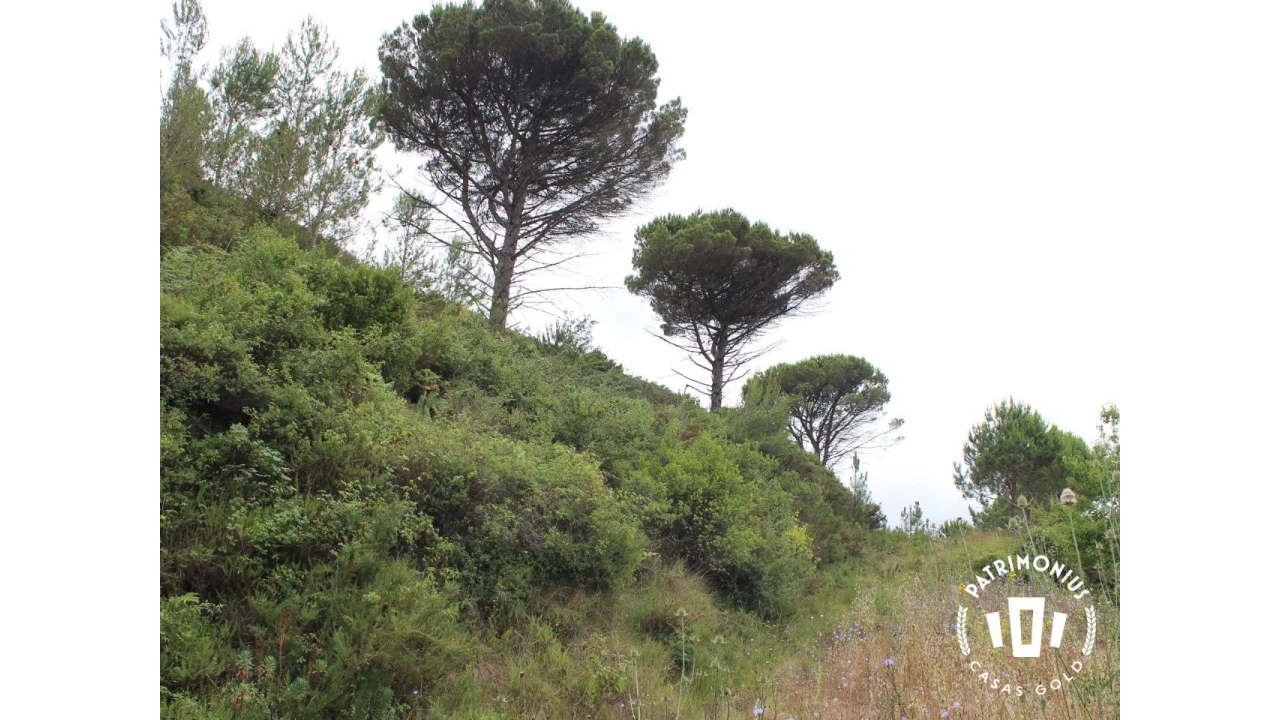 Terreno para Venda em Pragança Foto 17
