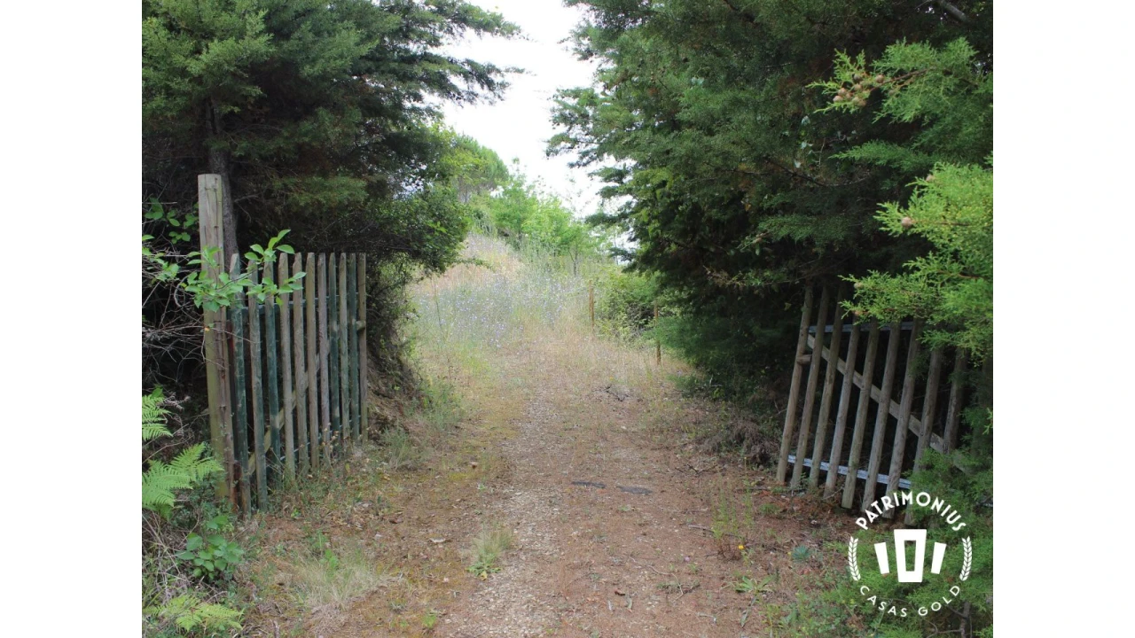 Terreno para Venda em Pragança Foto 18