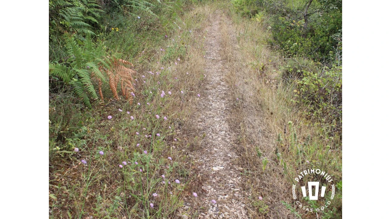Terreno para Venda em Pragança Foto 19
