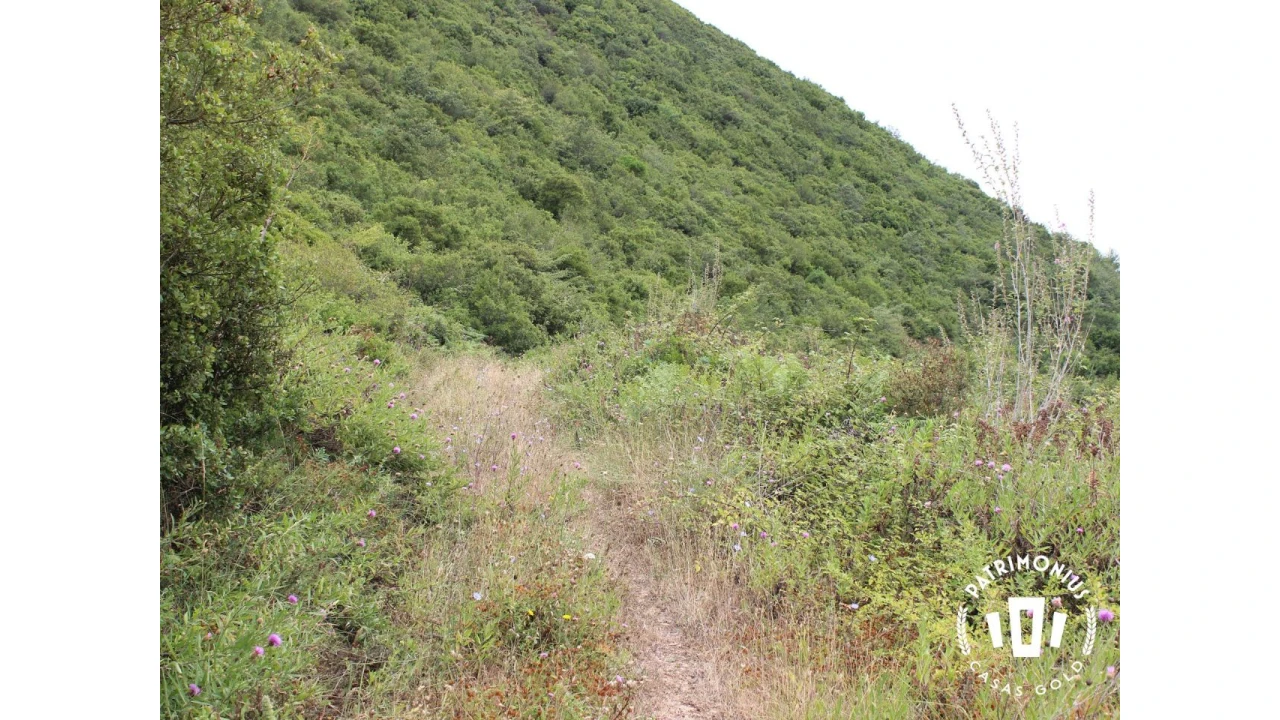 Terreno para Venda em Pragança Foto 20