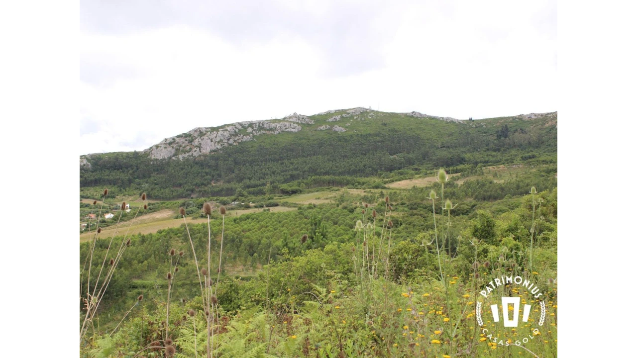 Terreno para Venda em Pragança Foto 22