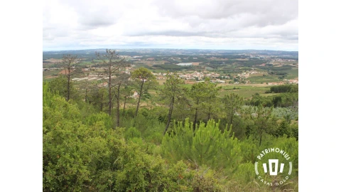 Terreno para Venda em Pragança