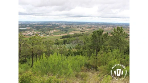 Terreno para Venda em Pragança