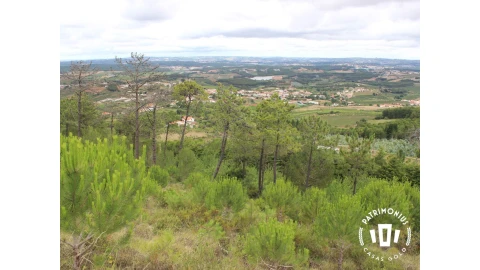 Terreno para Venda em Pragança