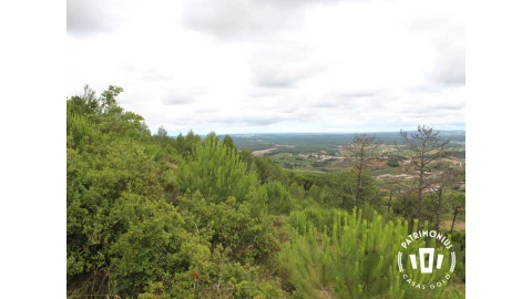 Terreno para Venda em Pragança