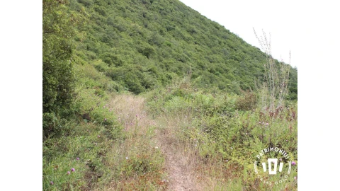 Terreno para Venda em Pragança